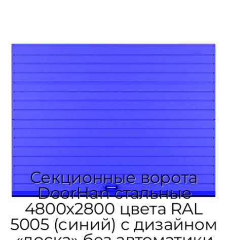 sekczionnyie-vorota-doorhan-stalnyie-4800x2800-czveta-ral-5005-sinij-s-dizajnom-«doska»-bez-avtomatiki
