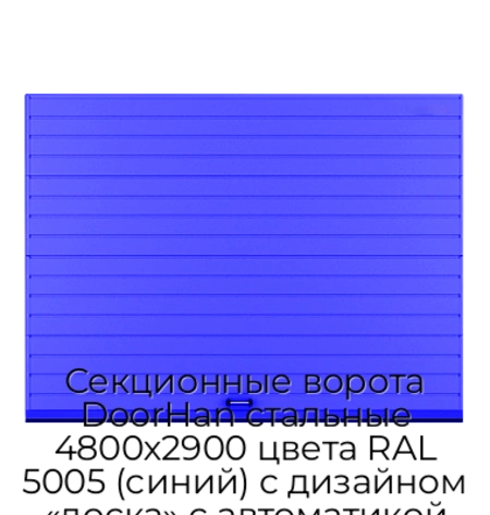 sekczionnyie-vorota-doorhan-stalnyie-4800x2900-czveta-ral-5005-sinij-s-dizajnom-«doska»-s-avtomatikoj