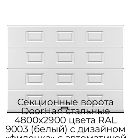 sekczionnyie-vorota-doorhan-stalnyie-4800x2900-czveta-ral-9003-belyij-s-dizajnom-«filenka»-s-avtomatikoj