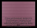 sekczionnyie-vorota-doorhan-stalnyie-4800x3000-czveta-ral-3005-bordovyij-s-dizajnom-«shirokaya-czentralnaya-polosa»-s-avtomatikoj