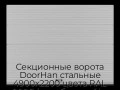 sekczionnyie-vorota-doorhan-stalnyie-4900x2200-czveta-ral-9006-serebristyij-s-dizajnom-«volna»-bez-avtomatiki