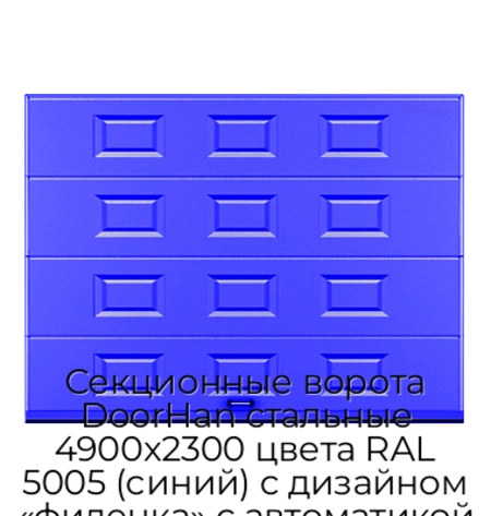 sekczionnyie-vorota-doorhan-stalnyie-4900x2300-czveta-ral-5005-sinij-s-dizajnom-«filenka»-s-avtomatikoj