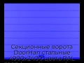 sekczionnyie-vorota-doorhan-stalnyie-4900x2400-czveta-ral-5005-sinij-s-dizajnom-«shirokaya-czentralnaya-polosa»-s-avtomatikoj