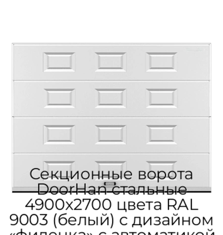 sekczionnyie-vorota-doorhan-stalnyie-4900x2700-czveta-ral-9003-belyij-s-dizajnom-«filenka»-s-avtomatikoj