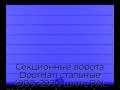 sekczionnyie-vorota-doorhan-stalnyie-4900x2900-czveta-ral-5005-sinij-s-dizajnom-«shirokaya-czentralnaya-polosa»-s-avtomatikoj
