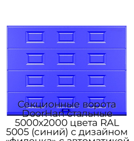 sekczionnyie-vorota-doorhan-stalnyie-5000x2000-czveta-ral-5005-sinij-s-dizajnom-«filenka»-s-avtomatikoj