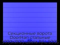 sekczionnyie-vorota-doorhan-stalnyie-5000x2100-czveta-ral-5005-sinij-s-dizajnom-«shirokaya-czentralnaya-polosa»-s-avtomatikoj