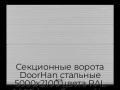 sekczionnyie-vorota-doorhan-stalnyie-5000x2100-czveta-ral-9006-serebristyij-s-dizajnom-«volna»-bez-avtomatiki