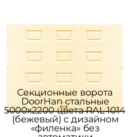 sekczionnyie-vorota-doorhan-stalnyie-5000x2200-czveta-ral-1014-bezhevyij-s-dizajnom-«filenka»-bez-avtomatiki