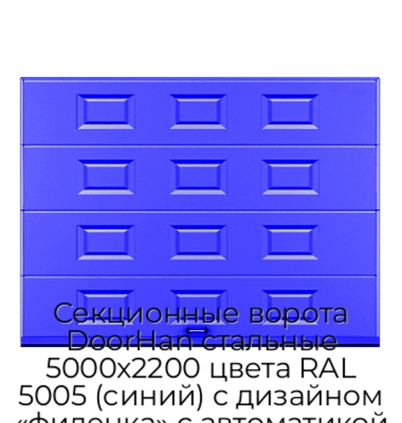 sekczionnyie-vorota-doorhan-stalnyie-5000x2200-czveta-ral-5005-sinij-s-dizajnom-«filenka»-s-avtomatikoj
