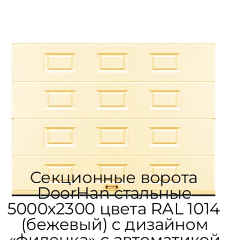 sekczionnyie-vorota-doorhan-stalnyie-5000x2300-czveta-ral-1014-bezhevyij-s-dizajnom-«filenka»-s-avtomatikoj