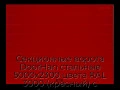 sekczionnyie-vorota-doorhan-stalnyie-5000x2300-czveta-ral-3000-krasnyij-s-dizajnom-«shirokaya-czentralnaya-polosa»-s-avtomatikoj
