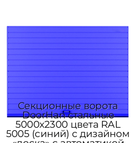 sekczionnyie-vorota-doorhan-stalnyie-5000x2300-czveta-ral-5005-sinij-s-dizajnom-«doska»-s-avtomatikoj