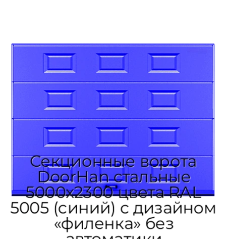 sekczionnyie-vorota-doorhan-stalnyie-5000x2300-czveta-ral-5005-sinij-s-dizajnom-«filenka»-bez-avtomatiki