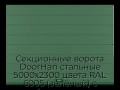 sekczionnyie-vorota-doorhan-stalnyie-5000x2300-czveta-ral-6005-zelyonyij-s-dizajnom-«shirokaya-czentralnaya-polosa»-bez-avtomatiki