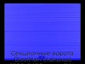 sekczionnyie-vorota-doorhan-stalnyie-5000x2400-czveta-ral-5005-sinij-s-dizajnom-«volna»-s-avtomatikoj