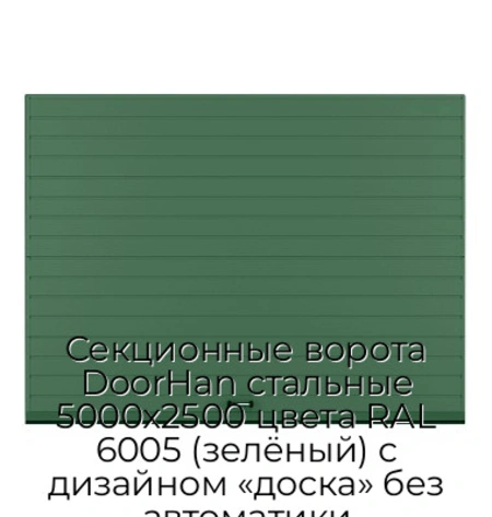 sekczionnyie-vorota-doorhan-stalnyie-5000x2500-czveta-ral-6005-zelyonyij-s-dizajnom-«doska»-bez-avtomatiki