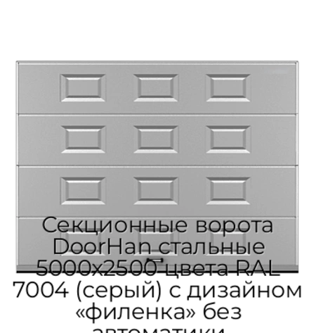 sekczionnyie-vorota-doorhan-stalnyie-5000x2500-czveta-ral-7004-seryij-s-dizajnom-«filenka»-bez-avtomatiki