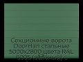 sekczionnyie-vorota-doorhan-stalnyie-5000x2800-czveta-ral-6005-zelyonyij-s-dizajnom-«shirokaya-czentralnaya-polosa»-bez-avtomatiki