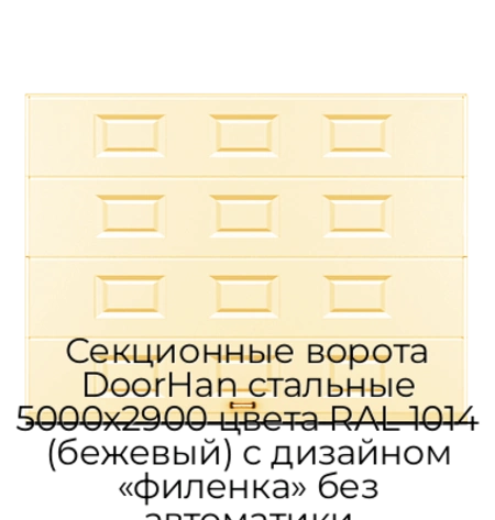 sekczionnyie-vorota-doorhan-stalnyie-5000x2900-czveta-ral-1014-bezhevyij-s-dizajnom-«filenka»-bez-avtomatiki