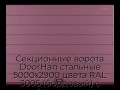 sekczionnyie-vorota-doorhan-stalnyie-5000x2900-czveta-ral-3005-bordovyij-s-dizajnom-«shirokaya-czentralnaya-polosa»-s-avtomatikoj