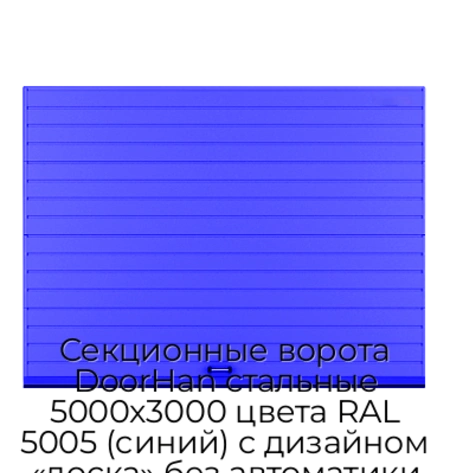 sekczionnyie-vorota-doorhan-stalnyie-5000x3000-czveta-ral-5005-sinij-s-dizajnom-«doska»-bez-avtomatiki