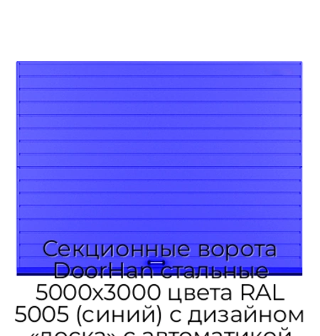 sekczionnyie-vorota-doorhan-stalnyie-5000x3000-czveta-ral-5005-sinij-s-dizajnom-«doska»-s-avtomatikoj
