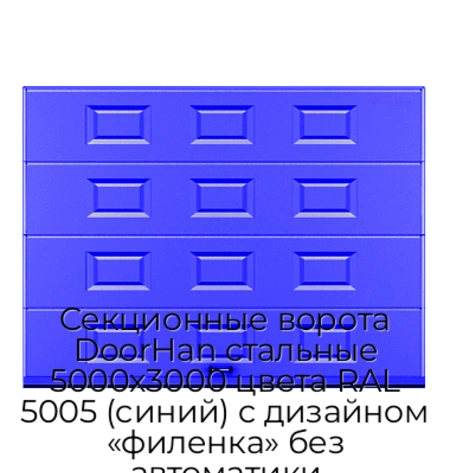 sekczionnyie-vorota-doorhan-stalnyie-5000x3000-czveta-ral-5005-sinij-s-dizajnom-«filenka»-bez-avtomatiki