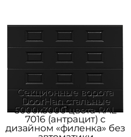 sekczionnyie-vorota-doorhan-stalnyie-5000x3000-czveta-ral-7016-antraczit-s-dizajnom-«filenka»-bez-avtomatiki