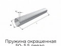 pruzhina-okrashennaya-50-5-5-levaya-32055-ml-ral7004
