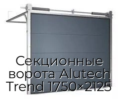 sekczionnyie-vorota-alutech-trend-1750×2125