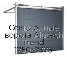 sekczionnyie-vorota-alutech-trend-1750×2375