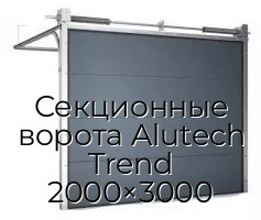 sekczionnyie-vorota-alutech-trend-2000×3000