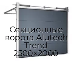 sekczionnyie-vorota-alutech-trend-2500×2000
