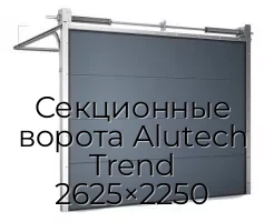 sekczionnyie-vorota-alutech-trend-2625×2250