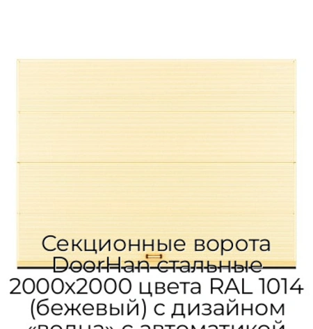 sekczionnyie-vorota-doorhan-stalnyie-2000x2000-czveta-ral-1014-bezhevyij-s-dizajnom-«volna»-s-avtomatikoj