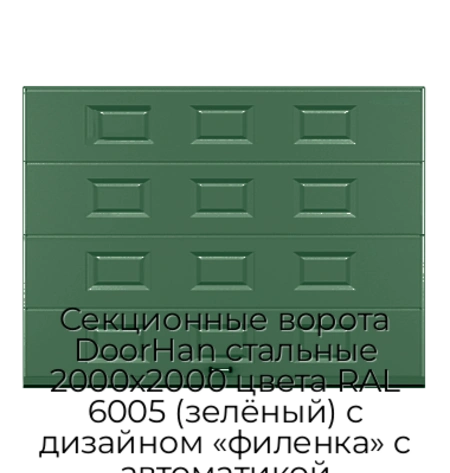sekczionnyie-vorota-doorhan-stalnyie-2000x2000-czveta-ral-6005-zelyonyij-s-dizajnom-«filenka»-s-avtomatikoj