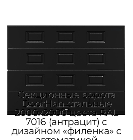 sekczionnyie-vorota-doorhan-stalnyie-2000x2000-czveta-ral-7016-antraczit-s-dizajnom-«filenka»-s-avtomatikoj