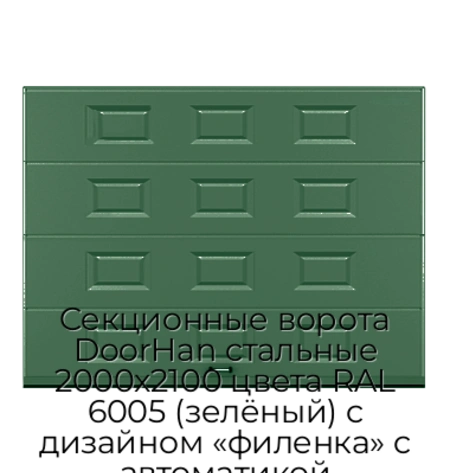 sekczionnyie-vorota-doorhan-stalnyie-2000x2100-czveta-ral-6005-zelyonyij-s-dizajnom-«filenka»-s-avtomatikoj