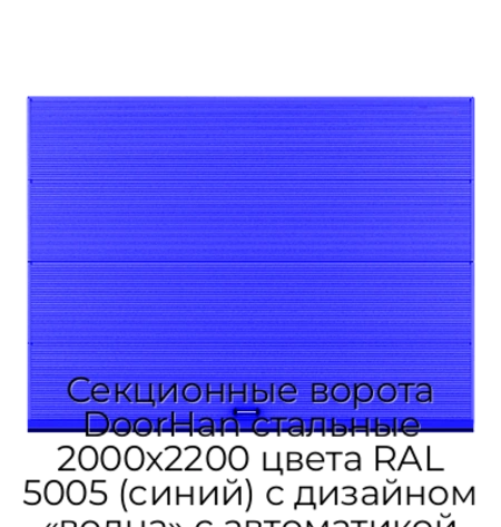 sekczionnyie-vorota-doorhan-stalnyie-2000x2200-czveta-ral-5005-sinij-s-dizajnom-«volna»-s-avtomatikoj