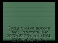 sekczionnyie-vorota-doorhan-stalnyie-2000x2200-czveta-ral-6005-zelyonyij-s-dizajnom-«shirokaya-czentralnaya-polosa»-s-avtomatikoj