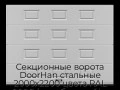 sekczionnyie-vorota-doorhan-stalnyie-2000x2200-czveta-ral-9006-serebristyij-s-dizajnom-«filenka»-s-avtomatikoj