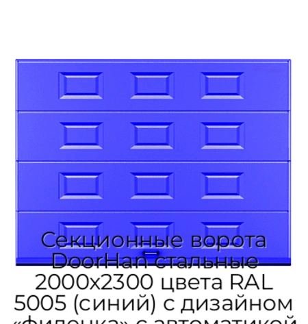 sekczionnyie-vorota-doorhan-stalnyie-2000x2300-czveta-ral-5005-sinij-s-dizajnom-«filenka»-s-avtomatikoj