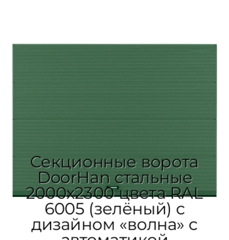 sekczionnyie-vorota-doorhan-stalnyie-2000x2300-czveta-ral-6005-zelyonyij-s-dizajnom-«volna»-s-avtomatikoj