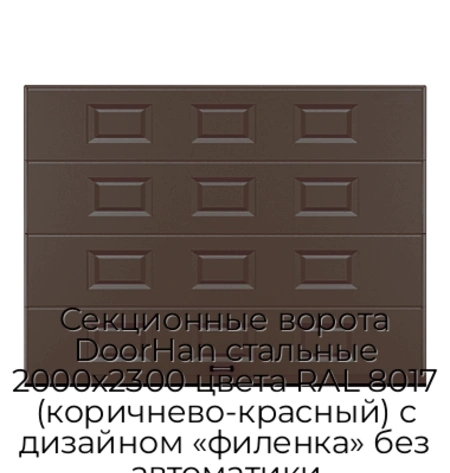 sekczionnyie-vorota-doorhan-stalnyie-2000x2300-czveta-ral-8017-korichnevo-krasnyij-s-dizajnom-«filenka»-bez-avtomatiki