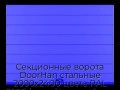 sekczionnyie-vorota-doorhan-stalnyie-2000x2400-czveta-ral-5005-sinij-s-dizajnom-«shirokaya-czentralnaya-polosa»-bez-avtomatiki