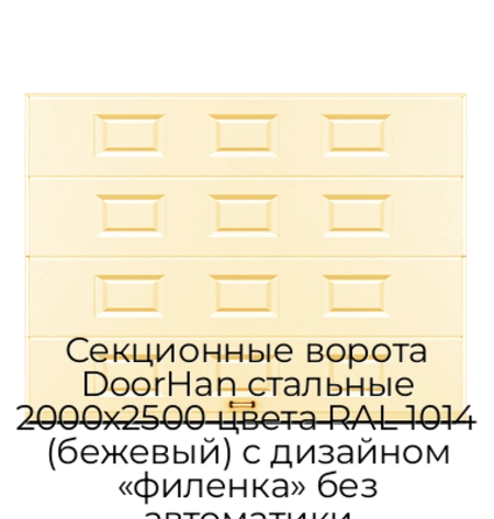 sekczionnyie-vorota-doorhan-stalnyie-2000x2500-czveta-ral-1014-bezhevyij-s-dizajnom-«filenka»-bez-avtomatiki