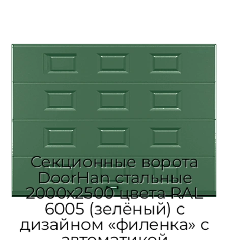 sekczionnyie-vorota-doorhan-stalnyie-2000x2500-czveta-ral-6005-zelyonyij-s-dizajnom-«filenka»-s-avtomatikoj