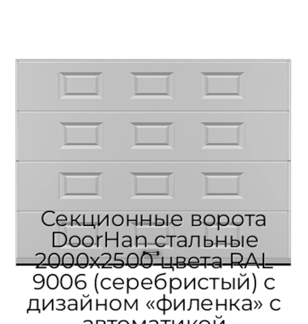 sekczionnyie-vorota-doorhan-stalnyie-2000x2500-czveta-ral-9006-serebristyij-s-dizajnom-«filenka»-s-avtomatikoj