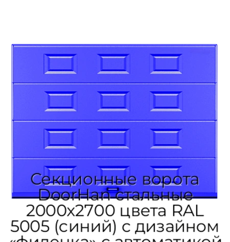 sekczionnyie-vorota-doorhan-stalnyie-2000x2700-czveta-ral-5005-sinij-s-dizajnom-«filenka»-s-avtomatikoj